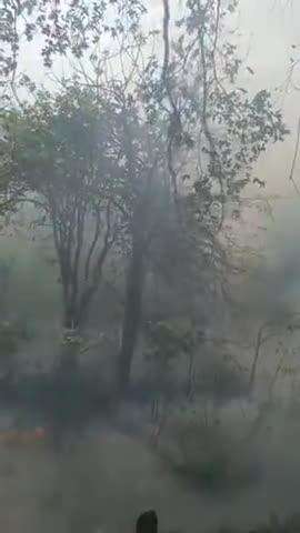 man chandika Devi Dham mein lagi bhishan Aag