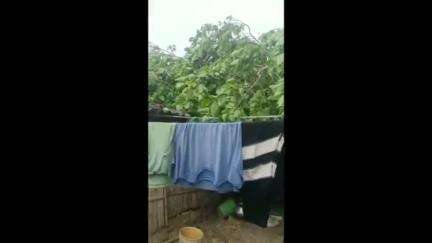 गायघाट: गायघाट और कटरा प्रखंड क्षेत्र के कई गांवों में आंधी-तूफान से तबाही, कई परिवारों के घर हुए ध्वस्त