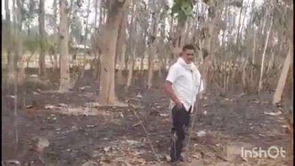 रामसनेही घाट: मल्लूपुर मजरे सूपा मऊ गांव में खरपतवार जलाने से एक बैग में लगी आग, कई पेड़ जलकर हुए नष्ट, पुलिस से की गई शिकायत