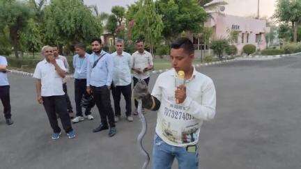 1 मई 2025 पाली के सरस डेयरी में आया कोबरा महावीर जैन 7073274011  ने पकड़ा