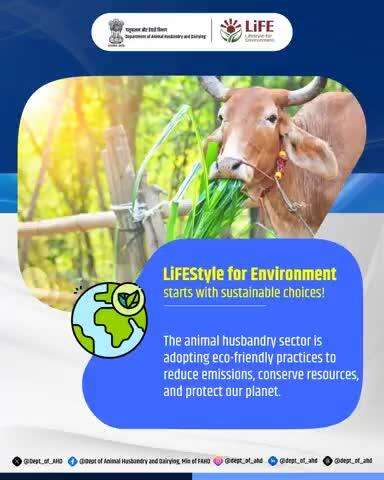 Choose Sustainability, Nurture Our Planet!

The animal husbandry sector embraces eco-friendly practices to reduce emissions, save resources, and support a greener future.
#SustainableFarming #EcoFriendly