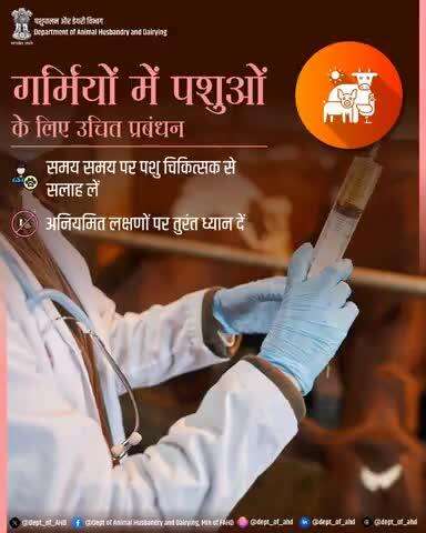 गर्मियों में पशुओं के लिए उचित प्रबंधन
गर्मियों में पशुओं का स्वास्थ्य बनाए रखना बेहद जरूरी है। इसके लिए समय-समय पर पशु चिकित्सक से सलाह लें और अनियमित लक्षणों पर ध्यान दें।
सुरक्षित और स्वस्थ पशु, खुशहाल पशुपालक!
#LivestockCare