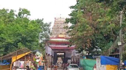 பொன்னேரி: மீஞ்சூர் வரதராஜ பெருமாள் கோவில்தேரோட்டம் வெகு விமரிசையாக நடைபெற்றது.