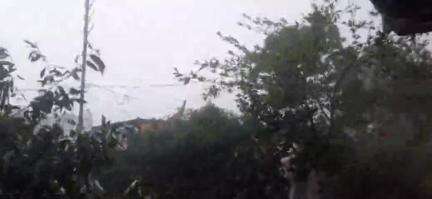 बैतूल में तेज हवा के साथ बारिश