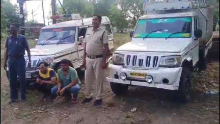 पांडुरना: तिगांव के पास श्रीराम सेना ने पकड़ा भैंसों से भरा पिकअप वाहन, पुलिस ने 2 तस्करों को किया गिरफ़्तार