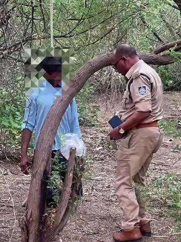 पचोर: पचोर के 35 वर्षीय विजय कुशवाहा ने सहारनपुर कॉलेज में नदी के किनारे पेड़ पर फांसी लगाकर आत्महत्या कर ली