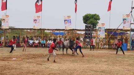 திருப்பத்தூர்: சௌமிய நாராயணபுரம் பகுதியில் அதிமுக சார்பில் வடமாடு மஞ்சுவிரட்டு 'பரிசுகள் வழங்கிய முன்னாள் அமைச்சர்கள்'