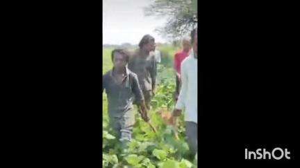 सिवनी मालवा: ग्राम कासखेड़ी में एक हिरण की हुई मौत, लोगों ने कहा- समय पर वन विभाग की टीम के नहीं पहुंचने से घायल हिरण की हुई मौत