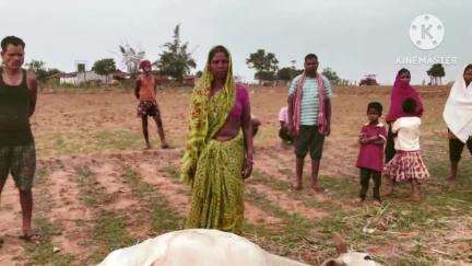 घाघरा: सेरंगदाग हड़हापाट गांव में बारिश के साथ वज्रपात से एक मवेशी की मौत, पीड़ित ने मुआवजे की मांग की