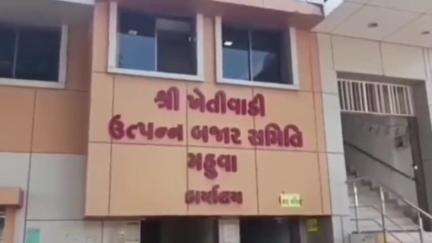 મહુવા: મહુવા માર્કેટિંગ યાર્ડમાં અનાજ કઠોળની હરરાજી અંગે જાણ કરવામાં આવી