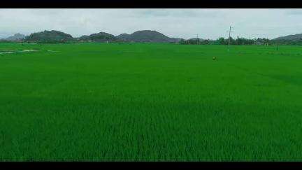 ई-वेयरहाउस रसीद पर अब किसानों को बिना गिरवी 75 लाख तक का ऋण! सशक्त बन रहा है भारत का अन्नदाता। #AgriGO