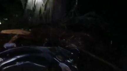 জলপাইগুড়ি: ডেঙ্গুয়াঝাড় বাজারে স্কুটির উপর ভেঙে পড়লো পুরনো গাছের ডাল, অল্পের জন্য প্রাণে বাঁচলেন চালক