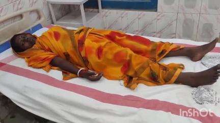 मधेपुरा: परवा नवटोल गांव में घर में सो रही महिला प्रमिला देवी को जहरीले सांप ने काटा, मौके पर हुई बेहोश