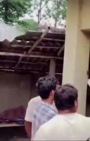 ठाकुरगंज: ठाकुरगंज थाना क्षेत्र के रजिस्ट्री ऑफिस में फांसी के फंदे से लटका मिला व्यक्ति का शव, जाँच में जुटी पुलिस