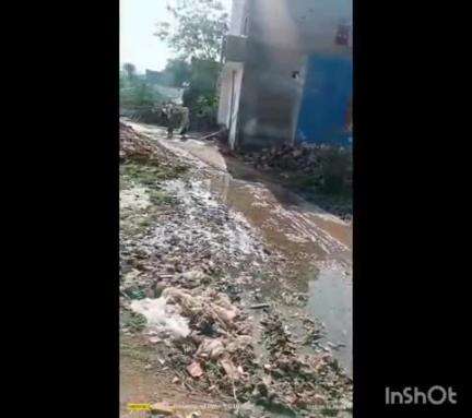 कराहल: कराहल पंचायत की सडक पर फैली गंदगी की वजह से लोगों को हो रही परेशानी , स्वच्छता अभियान खुली पोल #Jansamasya