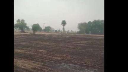 कैलारस: धूरकूड़ा और सेमई में खेतों में अज्ञात कारणों से लगी आग, कैलारस फायरदल ने आग बुझाई, बड़ा हादसा टला