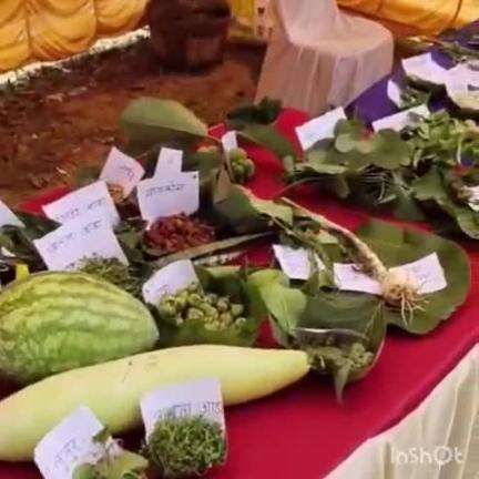 नाला: मडा़लो और गेडि़या क्लस्टर में आदिवासी सांस्कृतिक मेला का आयोजन किया गया