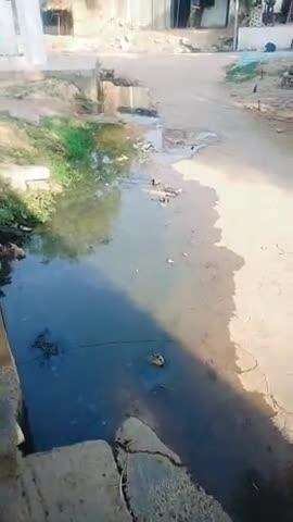 सबहाद me log परेशान हमेशा यूंही रहते है