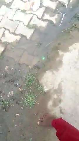 koi hai dekh lo kaisa rasta hai