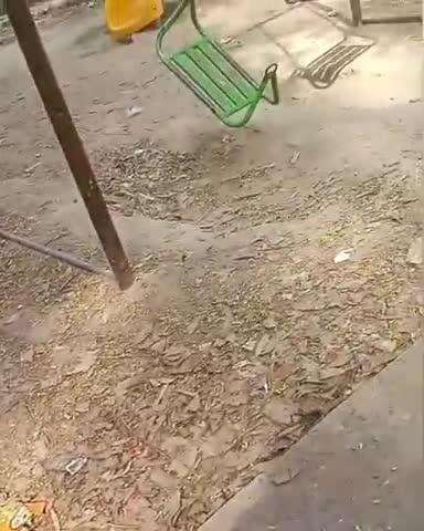 कानपुर: ग्वालटोली में बॉयफ्रेंड ने दुपट्टे से छात्रा का गला कसा, इंस्टाग्राम पर हुई थी दोस्ती, युवक पर शादी का दबाव था
