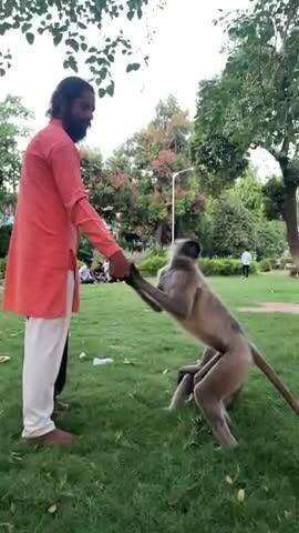 જયશ્રી રામ jay shree ram जय श्री राम