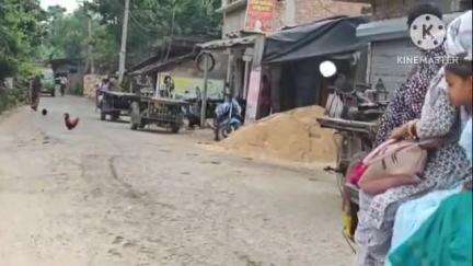 মগরাহাট ১: দু বছরেরও বেশি সময় ধরে গাজীরমোড় থেকে কারবালা- সংগ্রামপুর যাওয়ার রাস্তা বেহাল অসুবিধার সম্মুখীন এলাকাবাসীরা#Jansamasya