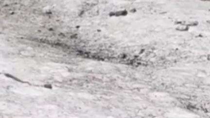 मोरंग: किन्नौर के आसरंग की पहाड़ी से नालों में गिरे ग्लेशियर, ग्रामीणों से गलेशियर पॉइंट्स की ओर न करने की अपील- जिप्र