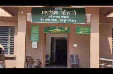 रामटेक: पेंच व्याघ्र प्रकल्प रामटेक अंतर्गत मानव- वन्यजीव संघर्ष टाळण्यासाठी वनविभागाची जनजागृती