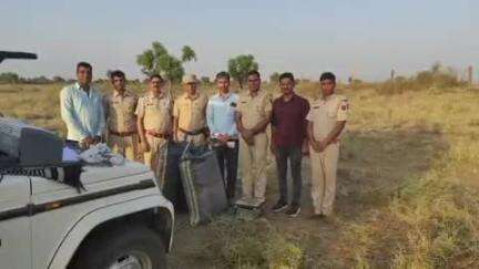 बावड़ी: पीपाड़ पुलिस ने ऑपरेशन संपोलिया के तहत 40 किलो 710 ग्राम डोडा-पोस्त किया बरामद, तस्कर फरार