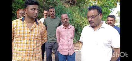 बल्ह: बल्ह में जहरीली घास खाने से 40 बकरियों की मौत, विधायक इंद्र सिंह गांधी ने किया दौरा