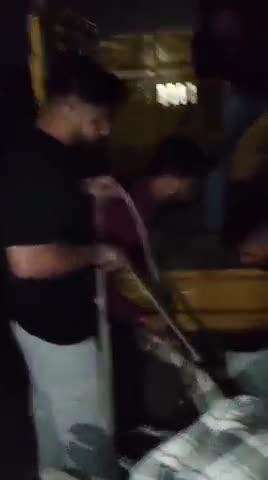 सीहोर नगर: हाईवे बायपास पर अज्ञात वाहन की टक्कर से एक बैल हुआ घायल, युवाओं ने पशु चिकित्सालय में कराया उपचार