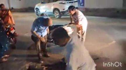 इटारसी: न्यास कॉलोनी मार्ग पर गाय के सामने आ जाने की वजह से अनियंत्रित होकर खुले नाले में गिरा स्कूटी सवार वृद्ध