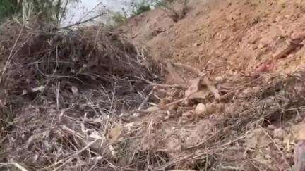 গোলাঘাট: নাগালেণ্ডৰ ঘাইপথ নিৰ্মাণৰ ফলত নষ্ট অসমৰ কৃষি নলা, সমস্যাত জিলাৰ ১০ খন গাঁৱৰ কৃষক, কদমগুৰিত ৰাইজৰ ক্ষোভ #jansamasya