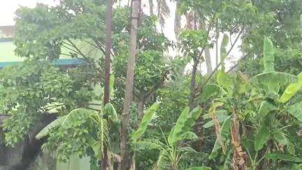 বারুইপুর: দক্ষিণ চব্বিশ পরগনা জেলায় বজ্রবিদ্যুৎ সহ ঝড় বৃষ্টির সতর্কতা