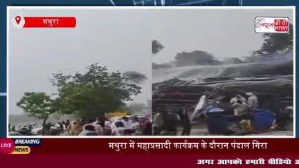 मथुरा: भागवत कथा के बाद महाप्रसादी कार्यक्रम में गिरा पंडाल, कई श्रद्धालु घायल 
#मथुरा #भागवत #कथा #महाप्रसादी