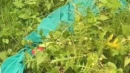 মাটিগাড়া: ঠাকুরনগর রেল লাইনের ধার থেকে উদ্ধার এক মহিলার অর্ধনগ্ন মৃতদেহ! খুন নাক অন্য কোন ঘটনা খতিয়ে দেখছে পুলিশ