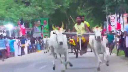 விளாத்திகுளம்: மதுரை சாலையில் முன்னாள் முதல்வர் எடப்பாடி பழனிச்சாமி பிறந்தநாள் விழாவை முன்னிட்டு மாட்டு வண்டி பந்தயம் எம் எல் ஏ துவக்கி வைத்தார்