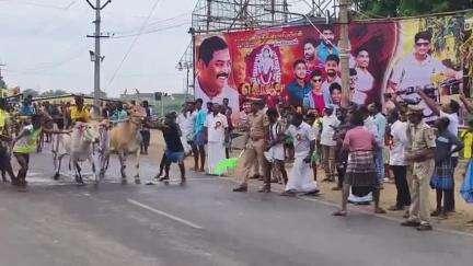 தூத்துக்குடி: கோமஸ்புரத்தில் நடைபெற்ற மாட்டு வண்டி எல்கை பந்தயம் நூற்றுக்கும் மேற்பட்ட மாடுகள் சீறிப்பாய்ந்தன
