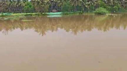 பேரணாம்பட்டு: பேர்ணாம்பட்டு கொத்தப்பள்ளி கிராமத்தில் மீன் பண்ணையில் இருந்த 15 ஆயிரம் மீன்கள் வெள்ளப்பெருக்கு ஏற்பட்டு அடித்துச் செல்லப்பட்டதால் விவசாயி வேதனை
