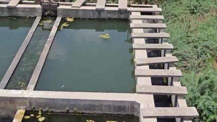 રાપર: રાપર નગરપાલિકા લોકોને દૂષિત પાણી વિતરણ કરતી હોવાનો કોંગ્રેસ પક્ષનો દાવો #jansamasya