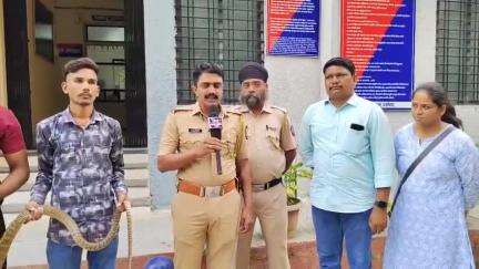 धर्माबाद: उष्णतेमुळे साप निघत असल्याने नागरिकांनी सतर्क रहावे - धर्माबाद चे सपोनि गायकवाड यांचे आवाहन