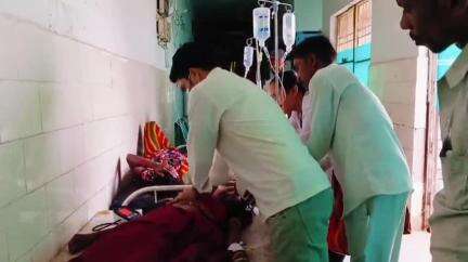 रीठी: बरा खेरा गांव में घर पर सो रही महिला व 2 वर्षीय बच्ची को ज़हरीले सांप ने काटा, हुई मौत