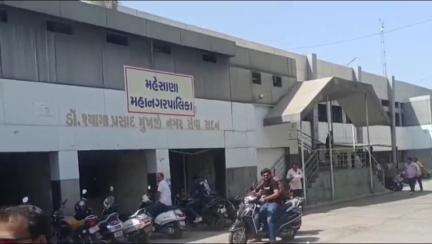 મનપા દ્વારા મનપા શહેરમાં કેટલા પાળતુ શ્વાન કેટલા તેની વિગત મેળવવામા આવી રહી છે