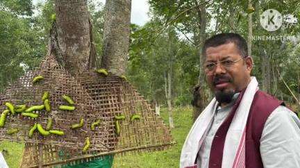 শদিয়া: শদিয়াৰ চাদিলী গাঁৱত মুগা আৰু ছিল্ক প্ৰকল্পৰ উদ্যোগৰ প্ৰকল্পস্থান পৰিদৰ্শন সমষ্টিৰ বিধায়ক বলীন চেতিয়াৰ