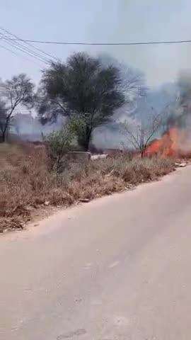 श्रीकरणपुर की धान मंडी में लगी आग, सूचना मिलने पर मौके पर पहुंची फायर ब्रिगेड टीम