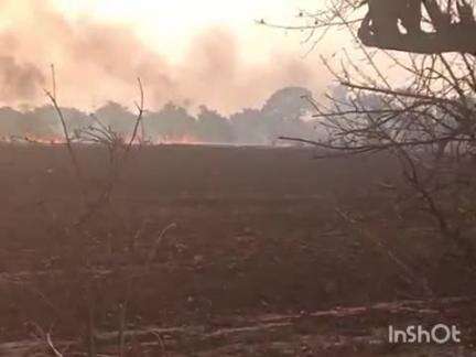 बल्देवगढ़: ग्राम मातौल खास में अज्ञात कारणों से खेतों में भीषण आग, मौके पर पहुंची डायल 100 और फायर ब्रिगेड