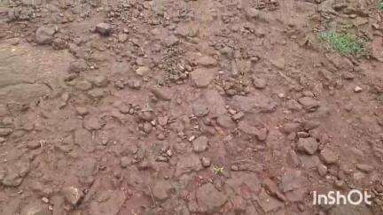 କୋଟପାଡ: ଚାଞ୍ଚଡାପଦର ଗ୍ରାମରେ ରାସ୍ତା ସମସ୍ୟା, ଗ୍ରାମବାସୀ ହନ୍ତସନ୍ତ #jansamasya