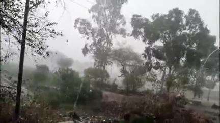 सैलाना: तेज बारिश से सैलाना में जनजीवन प्रभावित, बिजली के तार टूटे और पेड़ गिरे, एक घंटे में मची हलचल
