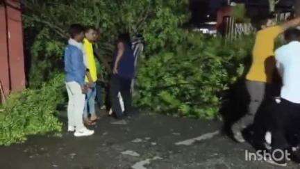 कळमेश्वर: कळमेश्वर येथे आज वादळी वाऱ्यासह पाऊस, अनेक झाडांची पडझड, सामाजिक कार्यकर्ते मंगेश गमे यांनी केली पाहणी