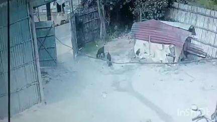 चौसा: चौसा थाना क्षेत्र में अज्ञात चोर ने बाइक की डिक्की तोड़कर उड़ाए ₹3 लाख, वारदात CCTV में कैद